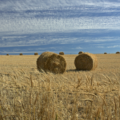 Agri-Based Startups: Turning Raw Produce into Profitable Products